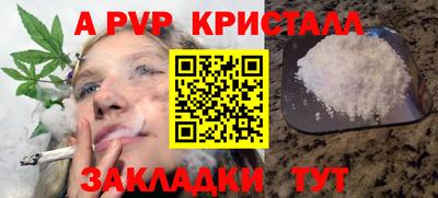 спиды Заводоуковск