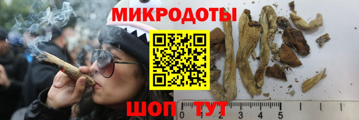 Дзержинск  наркошоп  Псилоцибиновые грибы Cubensis  Вход с VPN  Псилоцибиновые грибы прущие грибы 
